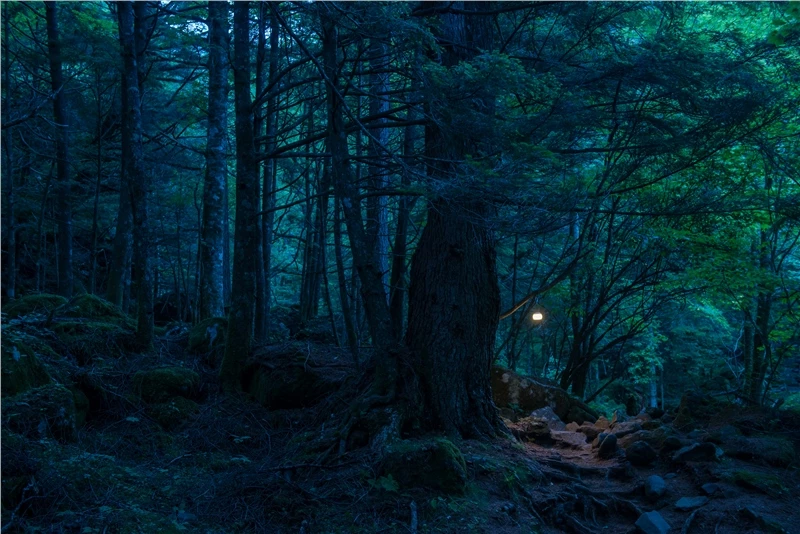 Snow Peak Hozuki Light - Green 7 Snow Peak Hozuki Light - Green - Image 5