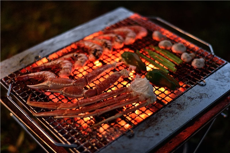 Snow Peak Pack & Carry Fireplace Grill Bridge 9 Snow Peak Pack & Carry Fireplace Grill Bridge - Image 7