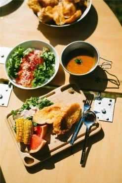 Snow Peak My Plate -outdoor camping shop 33484 11