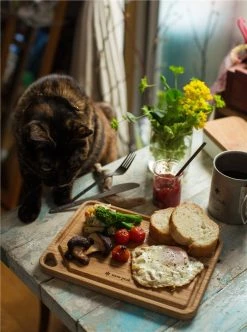 Snow Peak My Plate -outdoor camping shop 33484 8