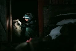 Silva Terra Scout XT Head Torch -outdoor camping shop 34861 6