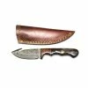 Titan International Knives Titan Damascus Steel Gut Hook Skinning Knife, 4in 2 Titan International Knives Titan Damascus Steel Gut Hook Skinning Knife, 4in -outdoor camping shop opplanet titan damascus skinning gut hook hunting knife by titan td 176 td 176 main
